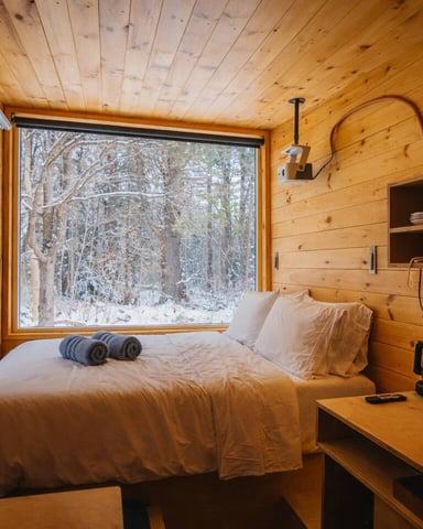 Cabin Quiet in the Woods